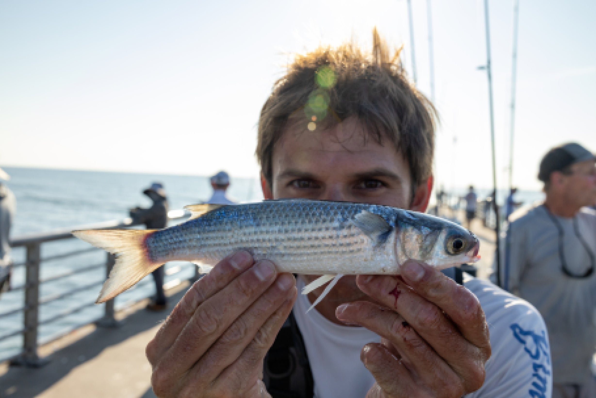 The Florida Mullet Run - How to Catch your Fish-of-a-Lifetime With Tsunami/SaltX
