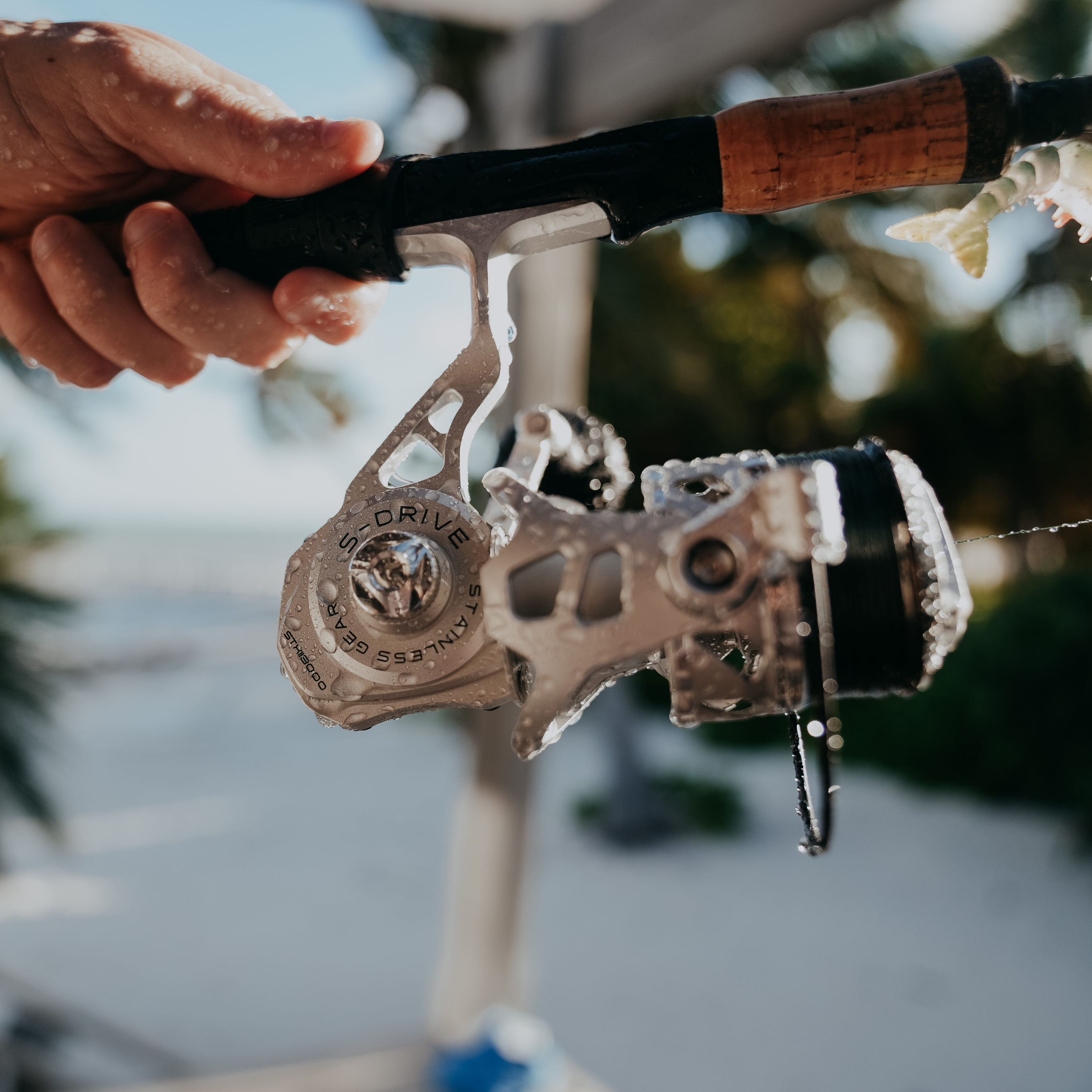 SaltX II Spinning Reel