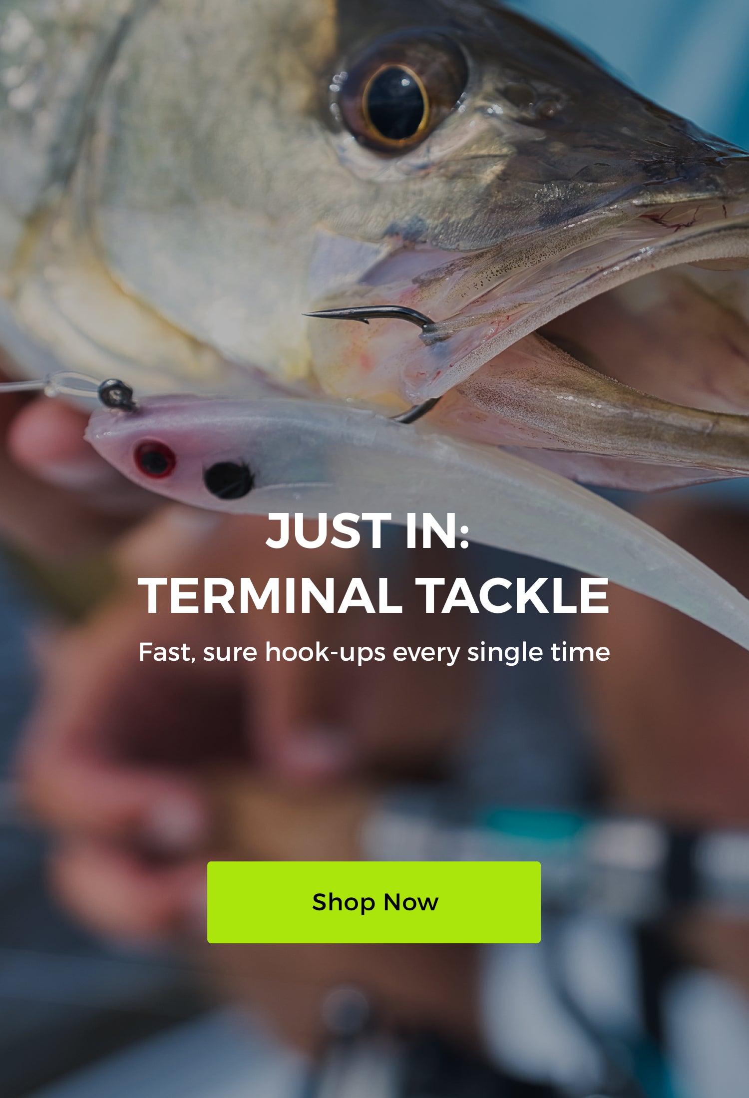 Tsunami Weighted Monofilament Trout Rig