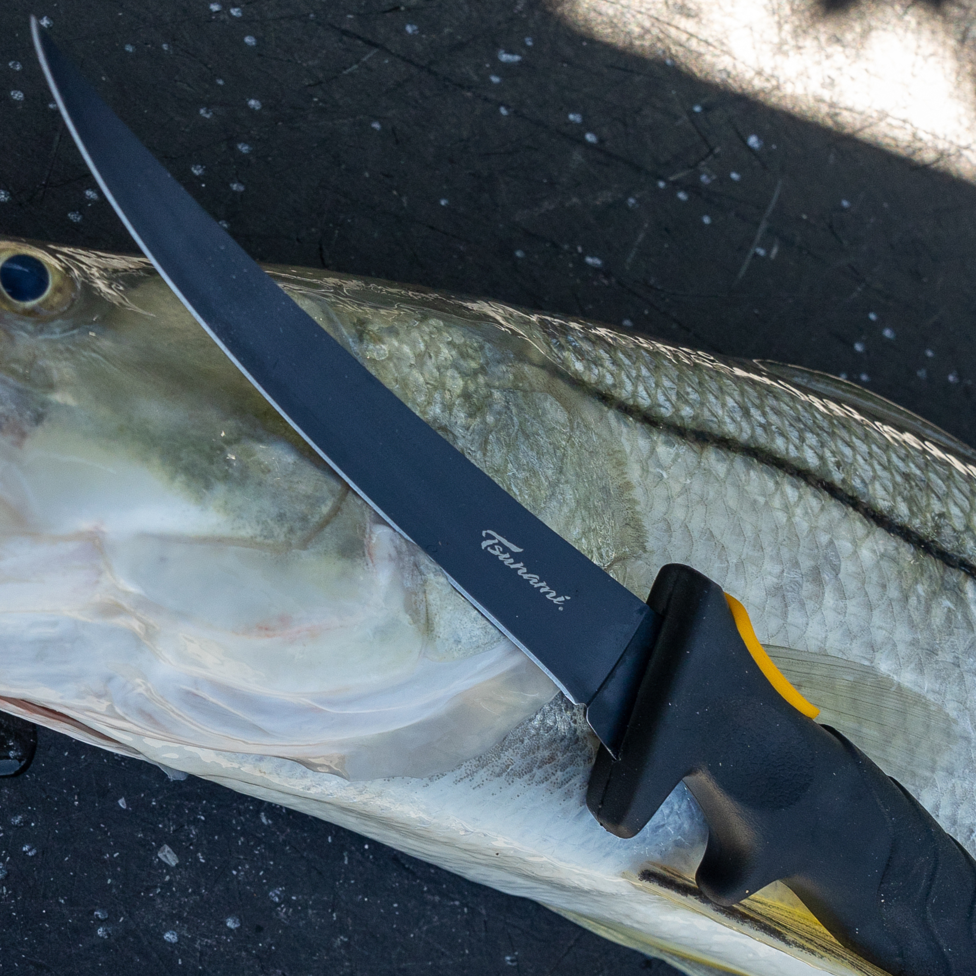 Flex Fillet Knife