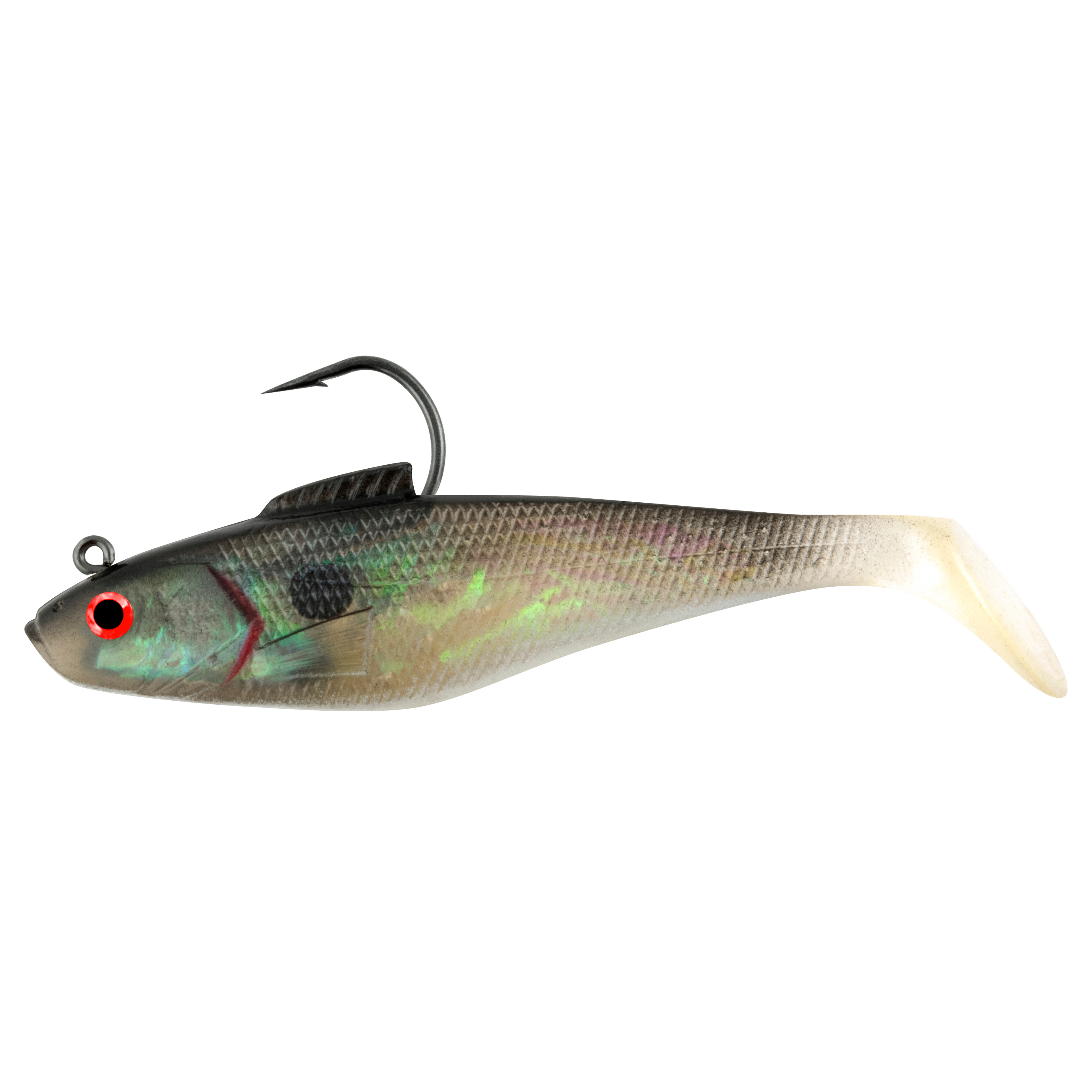 Black Back Shad
