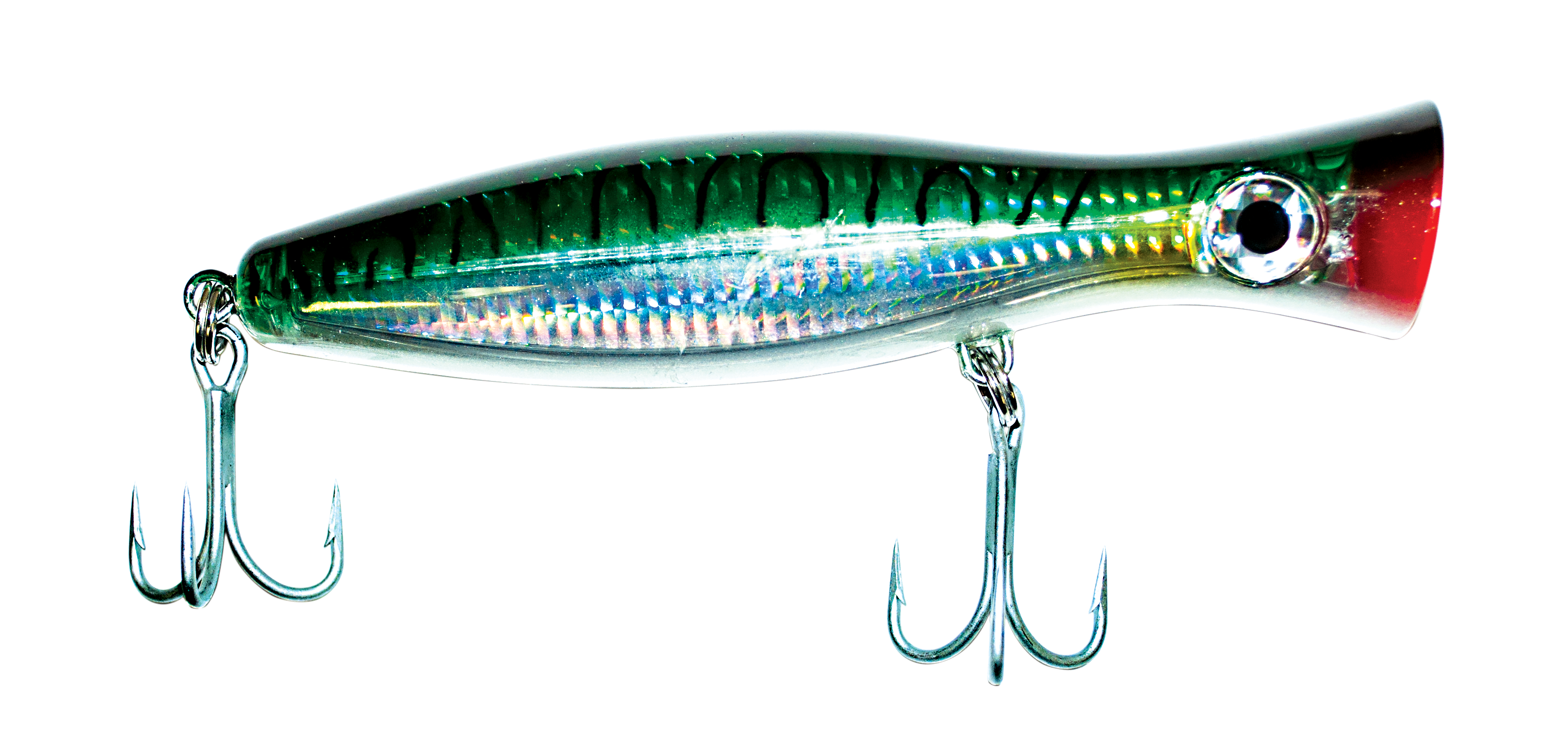 Green Mackerel